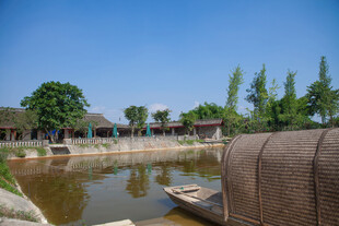 乡村池塘边的宁静景致