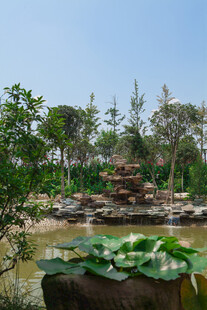 中式园林池塘景观