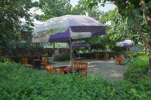 户外庭院遮阳伞休闲场景