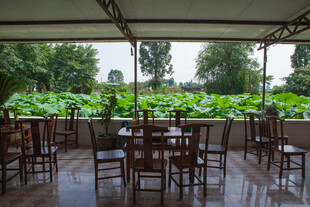 荷塘边的雅致户外用餐区