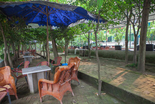 户外树荫下的休闲桌椅场景