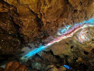 洞穴中梦幻蓝紫发光生物