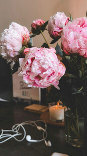 优雅芍药静物装饰画面