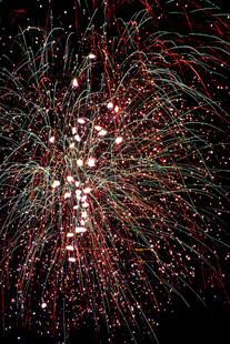 绚丽烟花绽放夜空