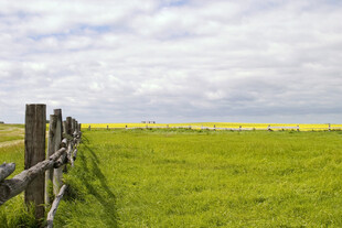 草原木栅栏旁的美丽风光