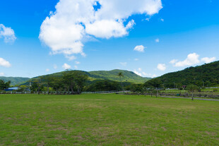广阔绿野与蓝天白云美景