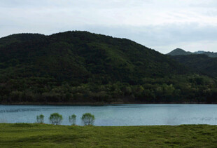 湖畔青山绿树美景