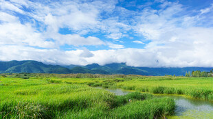 草原风光