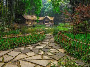 林间石板小径旁的古朴小屋