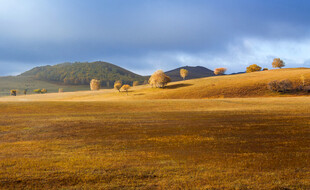 广袤草原与远处山峦景色