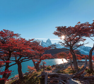 湖畔红树映雪山美景