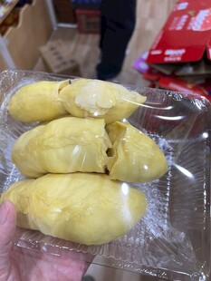 手中的美味新鲜榴莲果肉