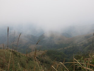 山间云雾缭绕的自然景致