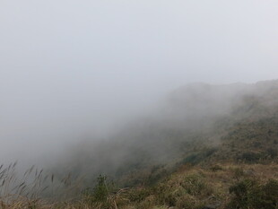 山间迷雾缭绕的自然景致