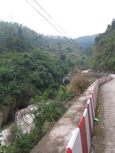 山间护栏旁的葱郁景致