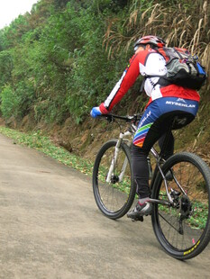 山地骑行者穿梭于山林间