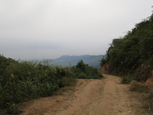 山间土路 自然野趣风光
