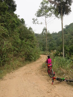乡村土路旁劳作的女子