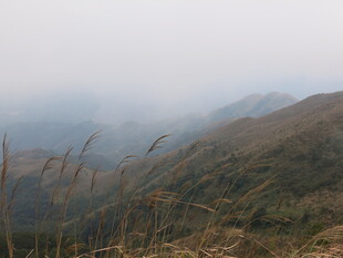 山间雾景 秋意朦胧