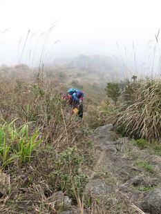 徒步者穿行于山间迷雾中