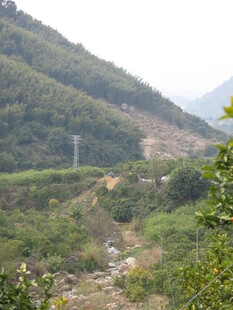 山间绿意盎然的自然景致