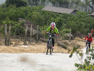 山地自行车手林间骑行