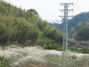 山间输电塔与繁茂植被