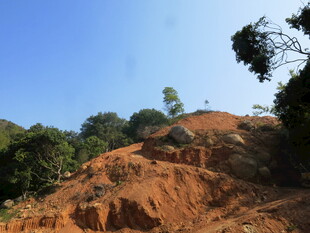 红土山坡的自然景象