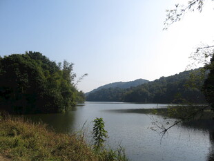 宁静山水风光图