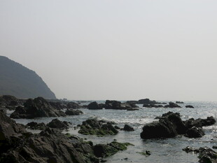 海边嶙峋礁石景观