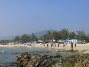 热闹的海滨沙滩场景