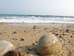 沙滩上的圆润石头