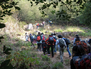 户外徒步队伍穿行林间