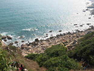 海岸风光 绿植环绕的礁石滩