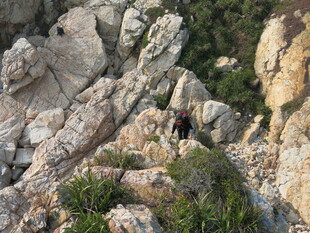 嶙峋山石间的绿意点缀