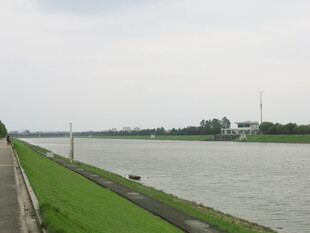 河畔绿草与宽阔河道景观