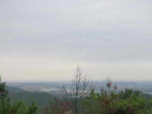 山林远眺之开阔景致