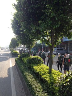 街道旁绿树成荫的休闲场景