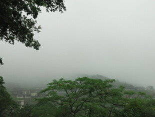 山间雾景 绿意朦胧