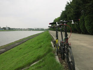 河畔自行车停靠在绿意旁