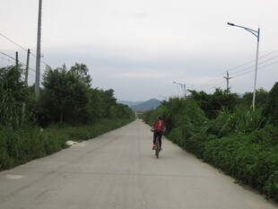 一人骑行在乡间公路上