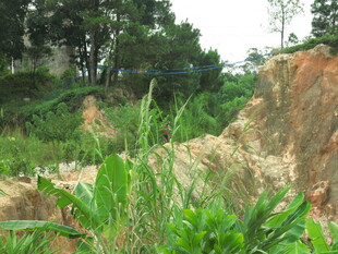 山坡绿植与裸露岩土景观