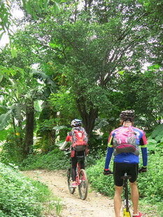 骑行者穿梭于绿意小径