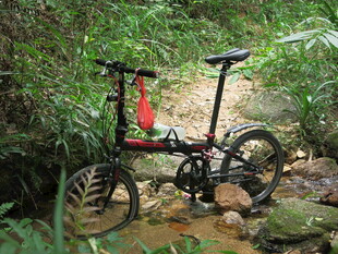 溪边折叠自行车置身绿意中