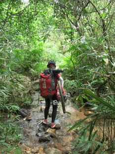 徒步者穿行于茂密林间小道