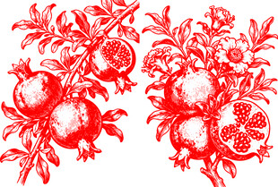 中式红石榴传统图案