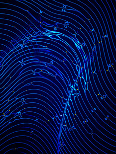 蓝色科技感线条抽象图案