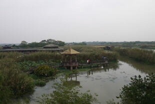 水乡风景中的亭台楼阁