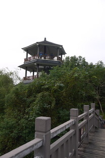 山林间的古风楼阁栈道