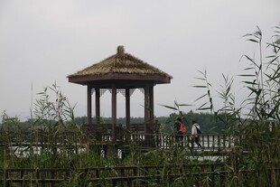 湖畔古亭 烟雨朦胧之景